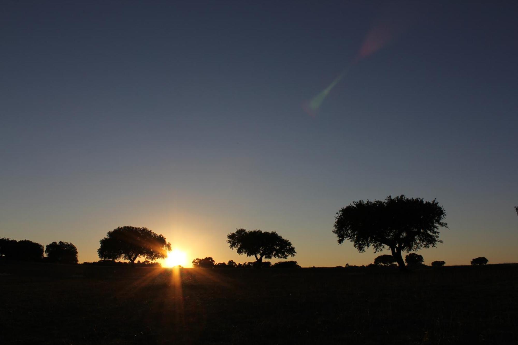 Pateo Dos Solares Charm Hotel Estremoz Bagian luar foto